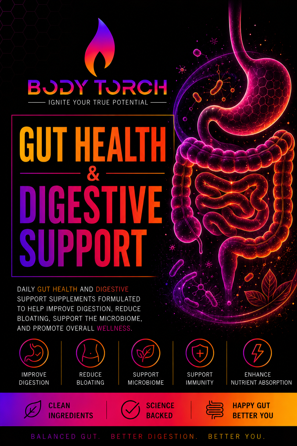 Gut Health + Digestion