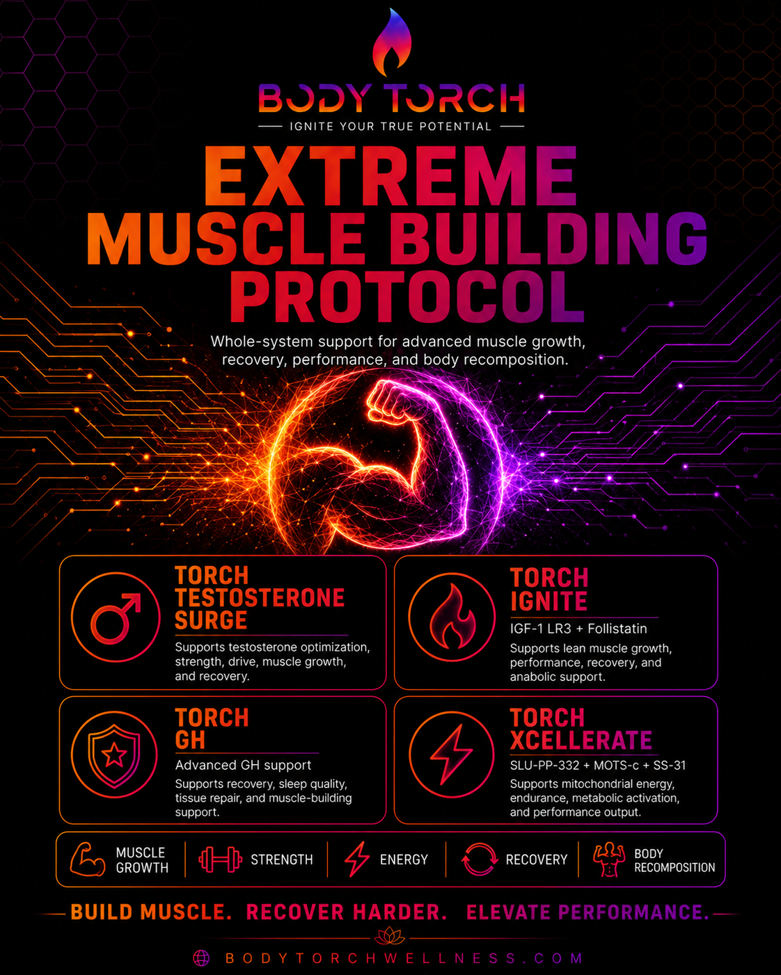 Extreme Muscle Building Protocol