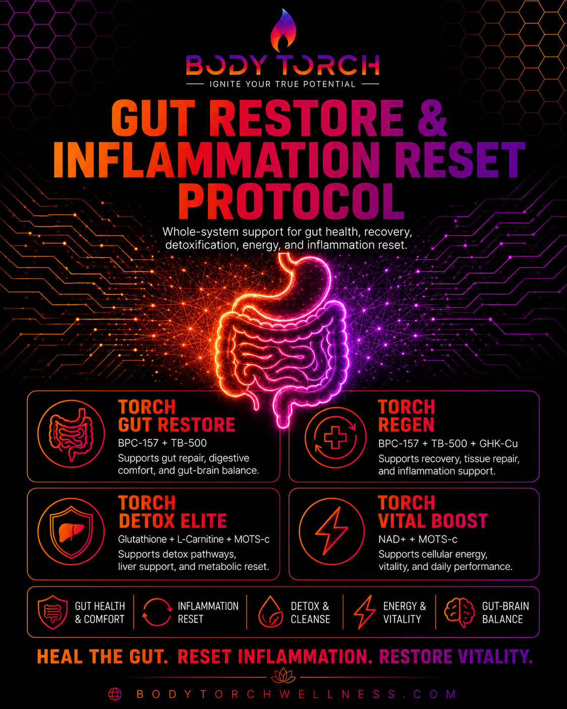 Gut Restore & Inflammation Reset Protocol