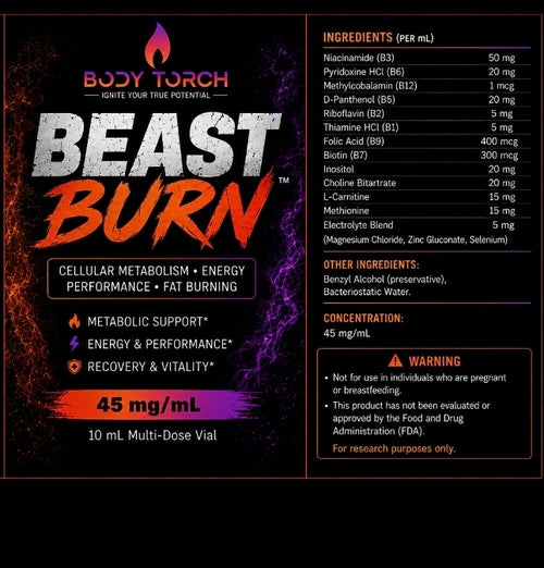 Torch | Beast Burn