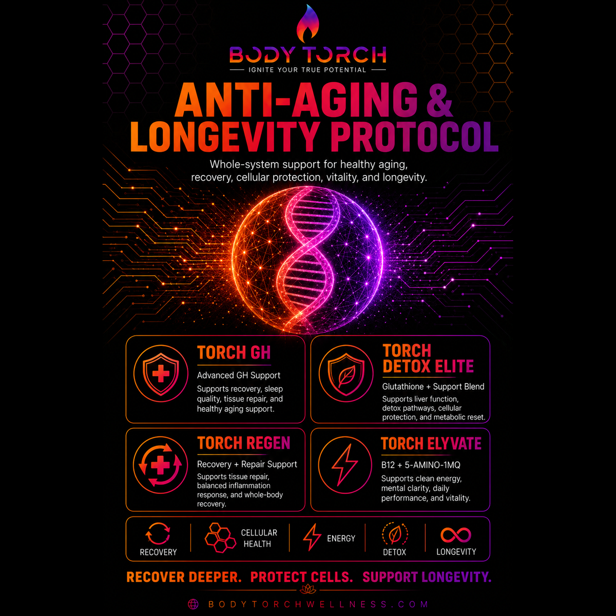 Anti-Aging & Longevity Protocol