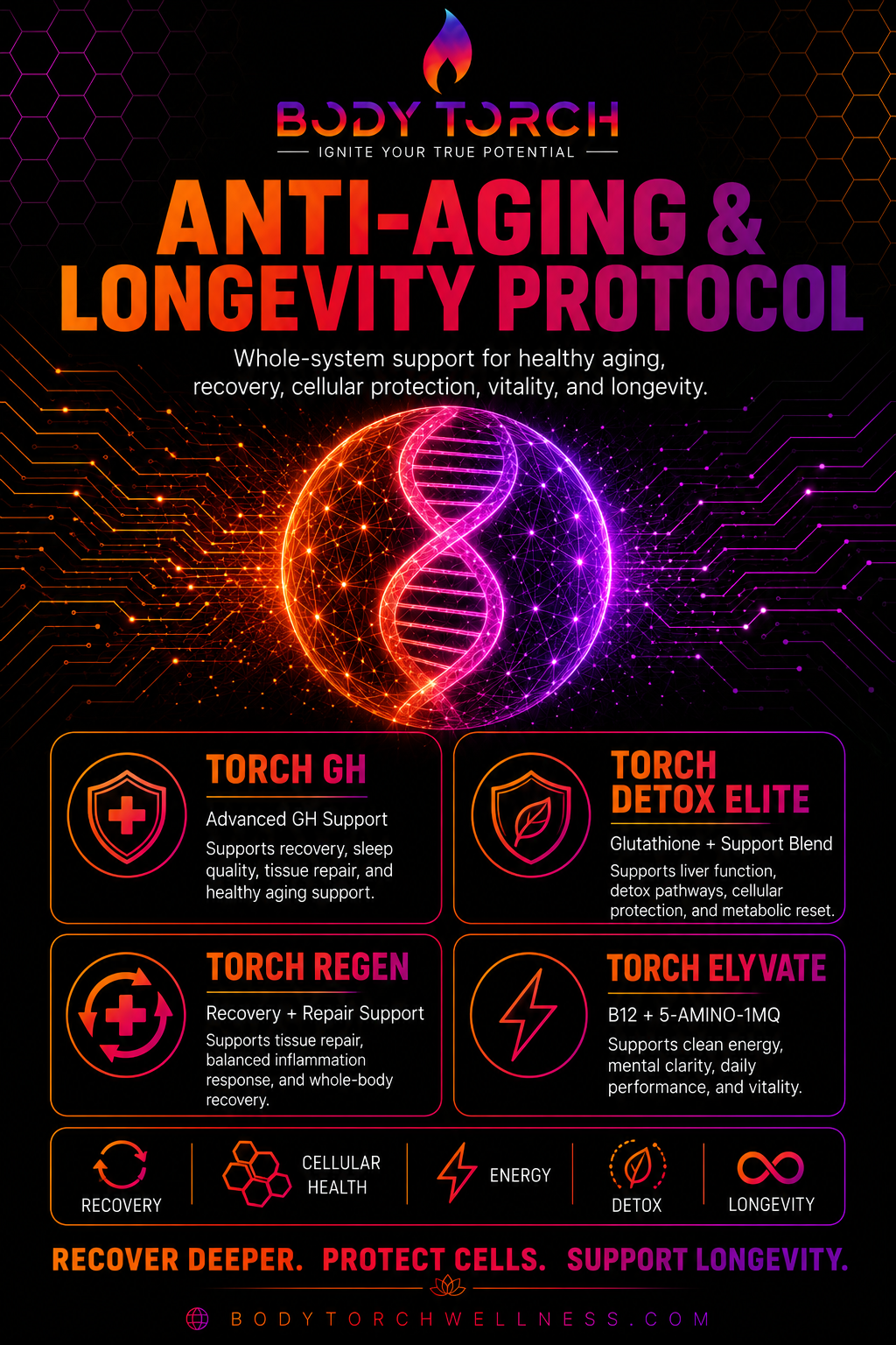 Anti-Aging & Longevity Protocol