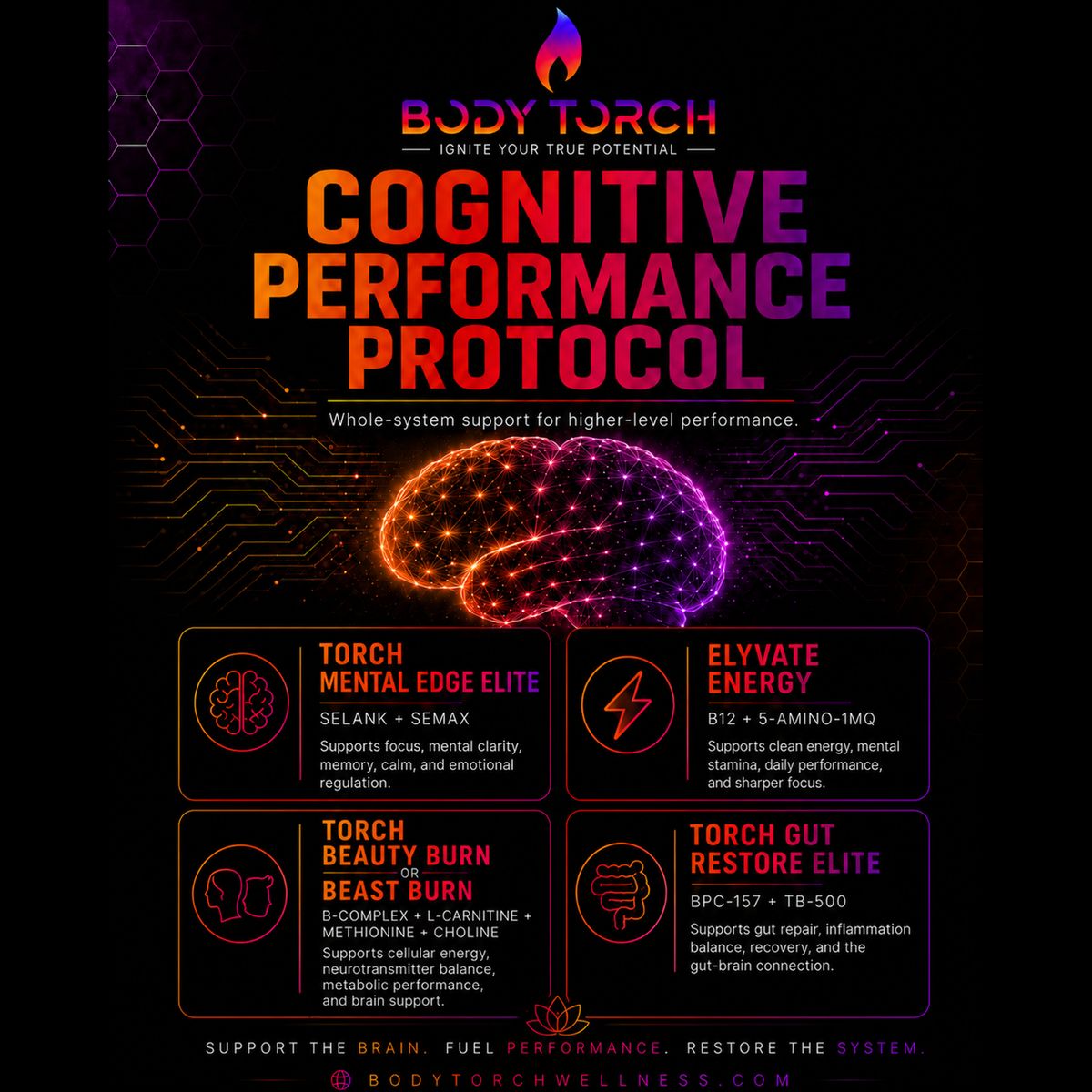 Cognitive Performance Protocol