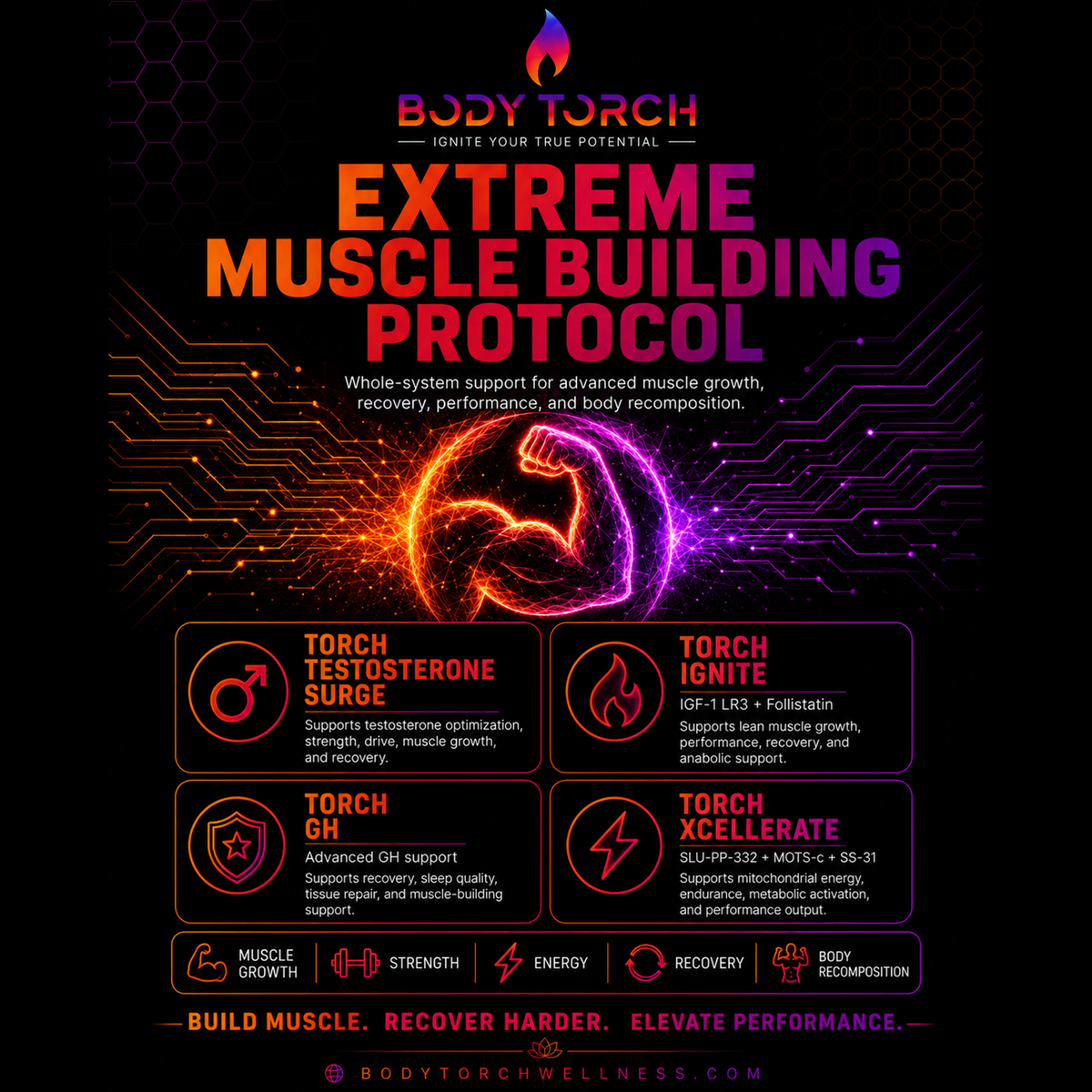 Extreme Muscle Building Protocol