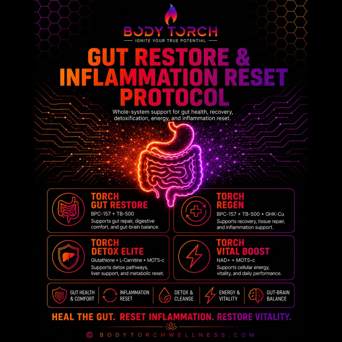 Gut Restore & Inflammation Reset Protocol