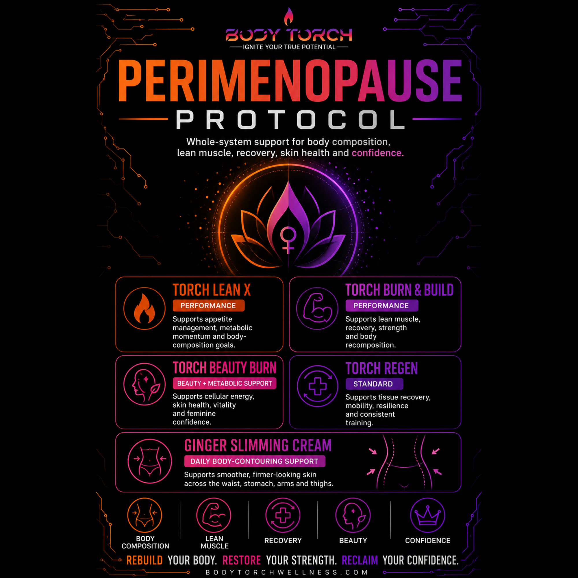 Perimenopause Protocol