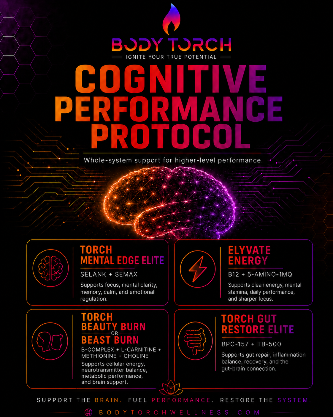 Cognitive Performance Protocol